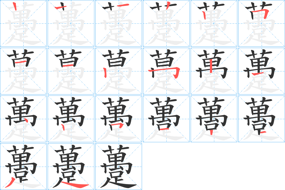 躉的笔顺分步演示