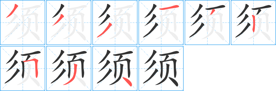 须的笔顺分步演示