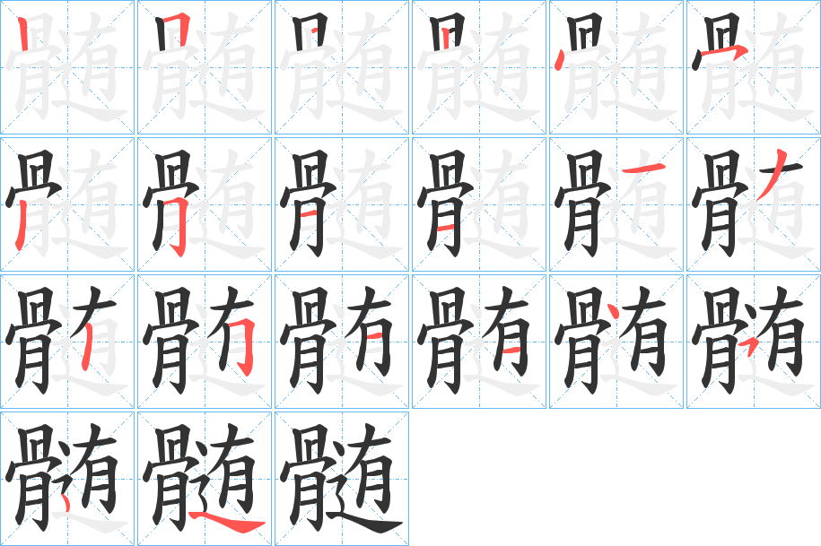 髄的笔顺分步演示