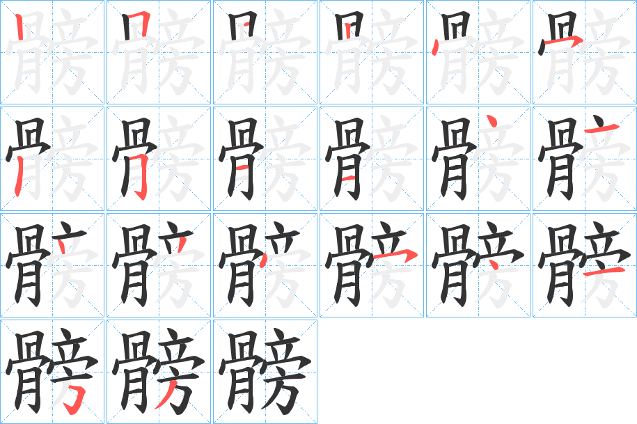 髈的笔顺分步演示