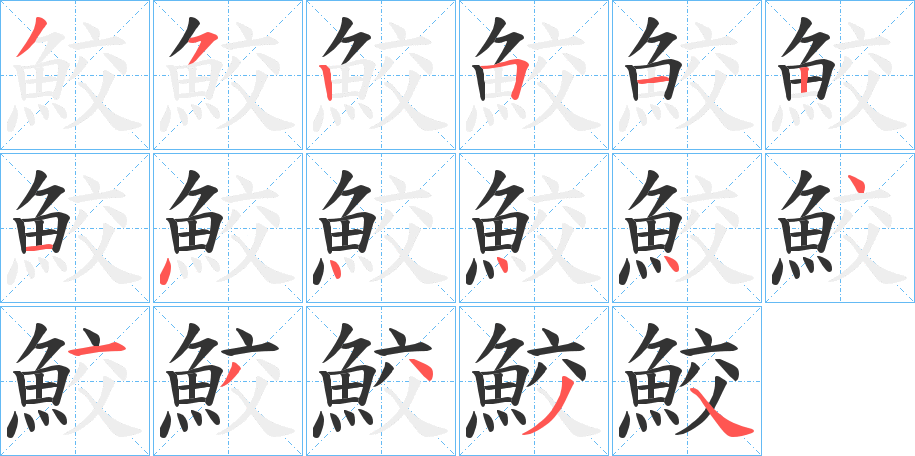 鮫的笔顺分步演示