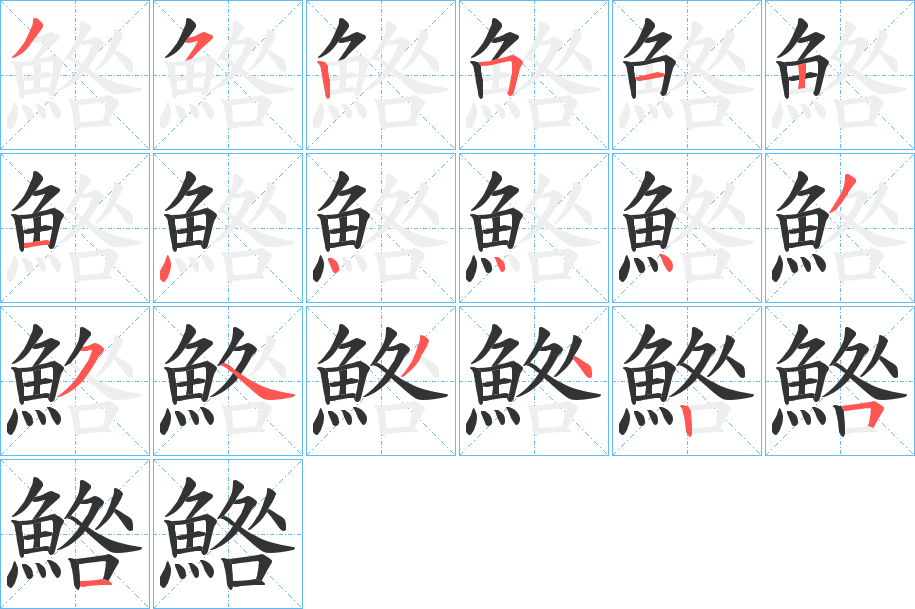 鯦的笔顺分步演示