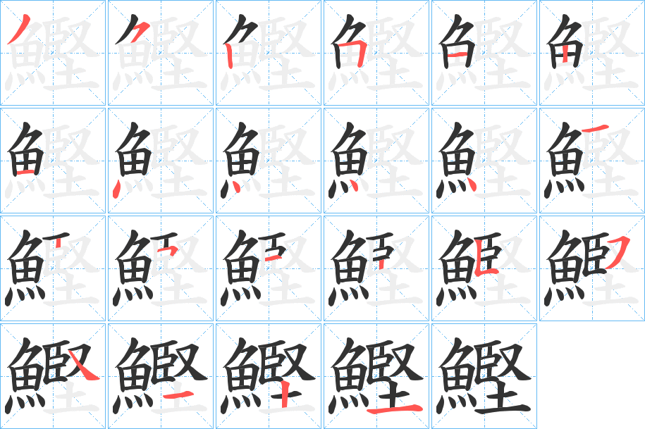 鰹的笔顺分步演示