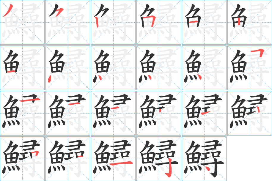 鱘的笔顺分步演示