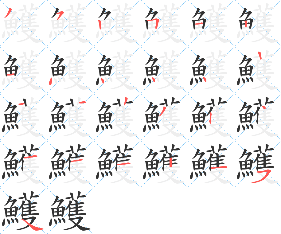 鱯的笔顺分步演示