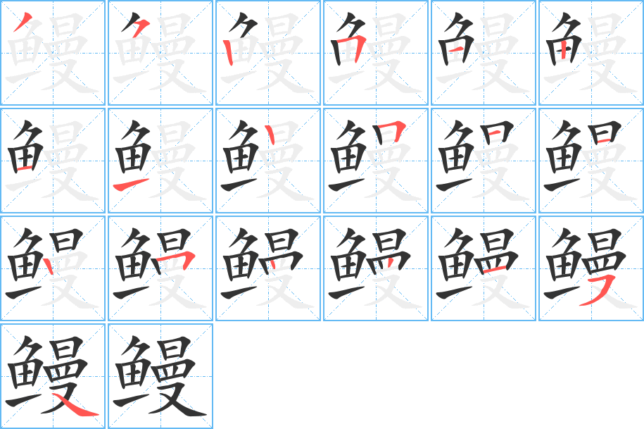 鳗的笔顺分步演示