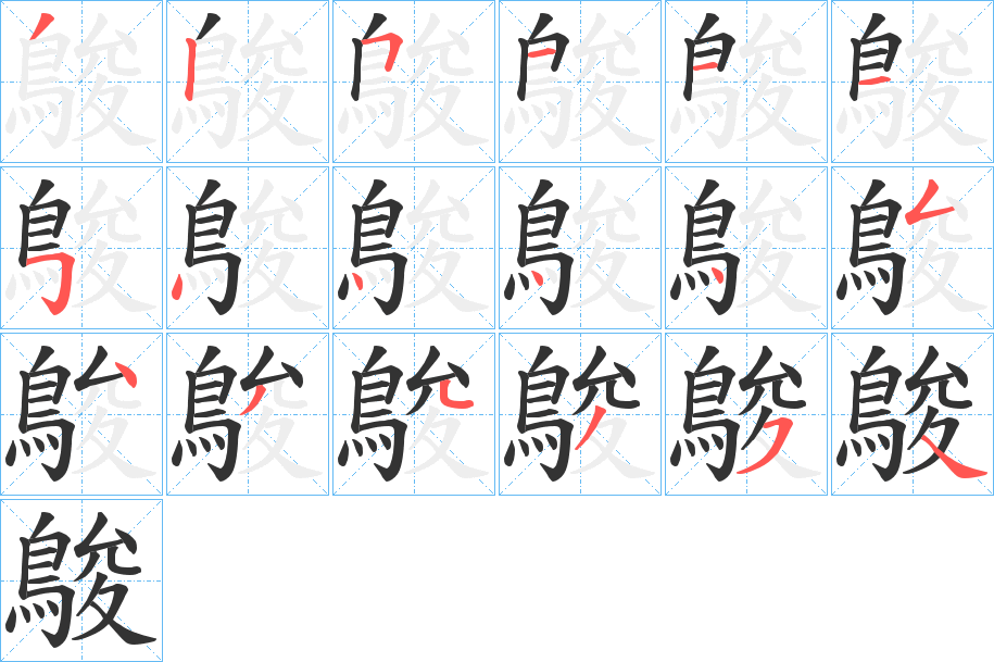 鵔的笔顺分步演示