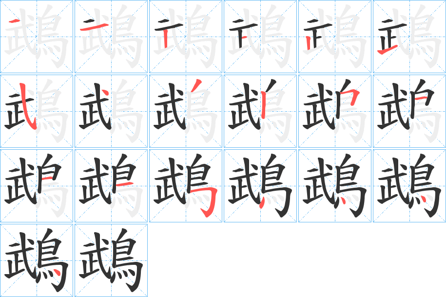 鵡的笔顺分步演示