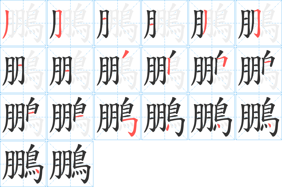 鵬的笔顺分步演示