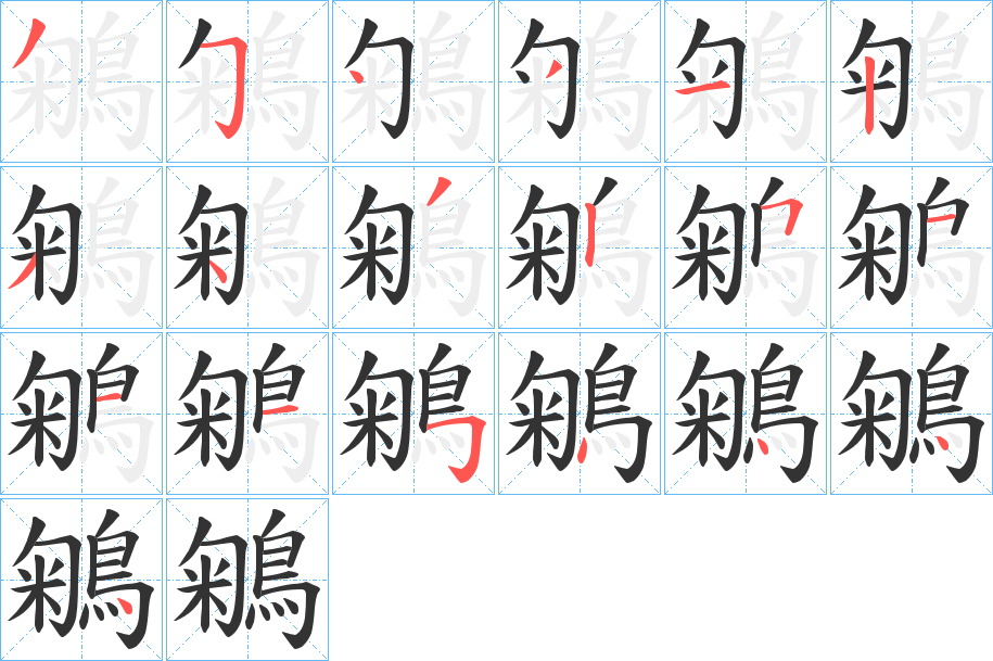 鵴的笔顺分步演示