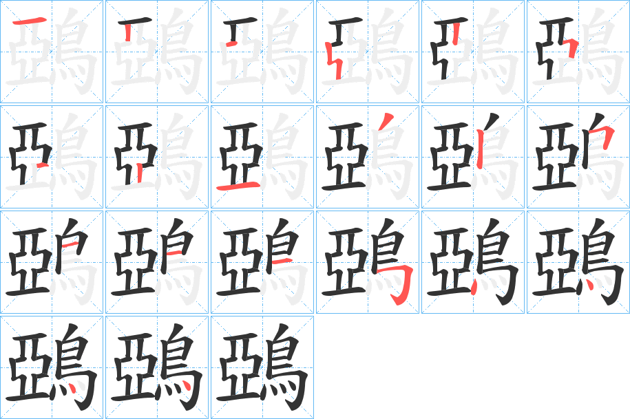 鵶的笔顺分步演示