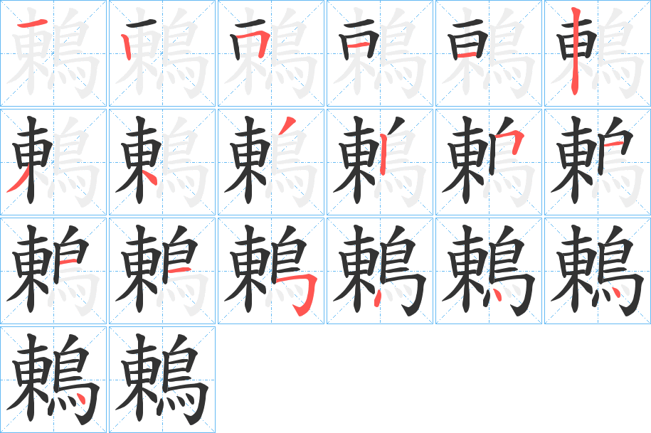 鶇的笔顺分步演示