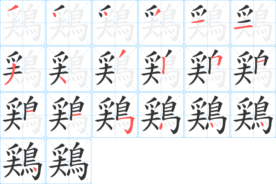 鶏的笔顺分步演示