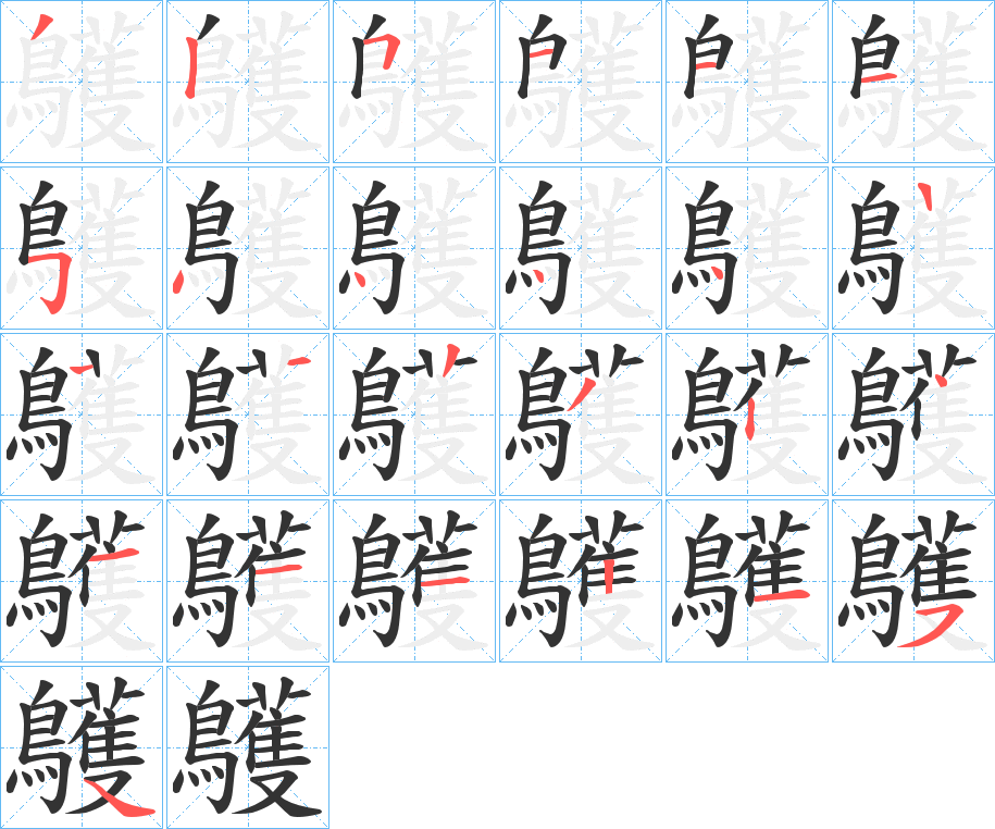 鸌的笔顺分步演示