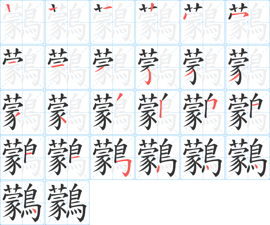 鸏的笔顺分步演示