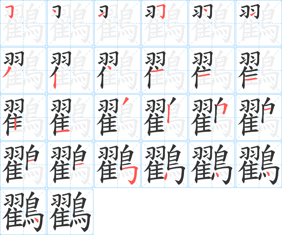 鸐的笔顺分步演示