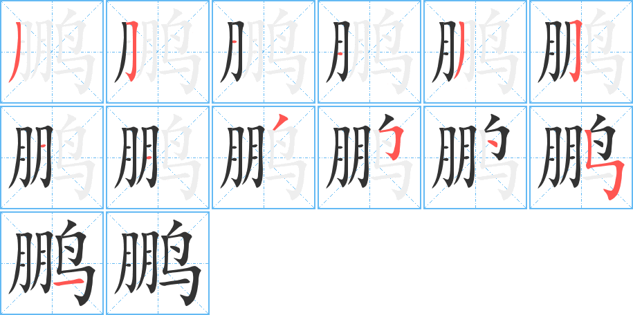 鹏的笔顺分步演示