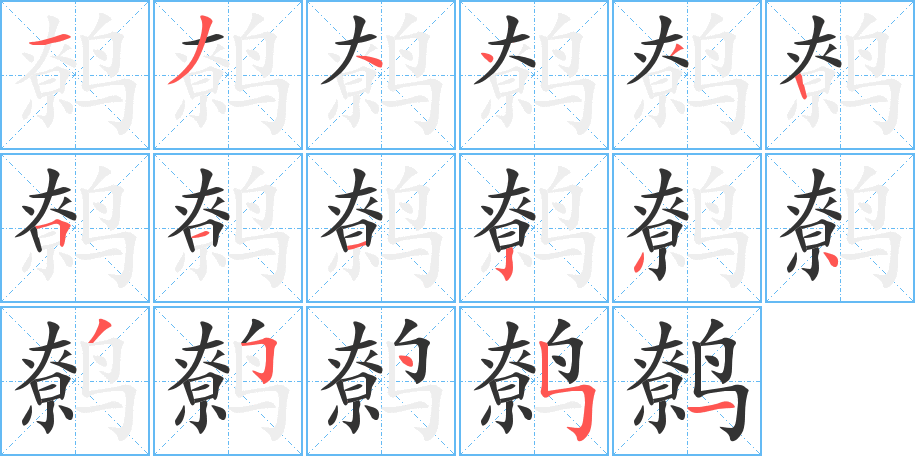 鹩的笔顺分步演示