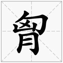 月字旁加一个匈,胖月旁加一个匈念什么字？《胷》怎么读？