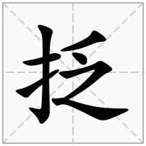 抸念什么字