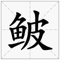 一,基本釋義見 〔鰟鮍〕二,詳細釋義◎鮍(鮍)pí ㄆㄧˊ◎ 〔鰟鮍〕見