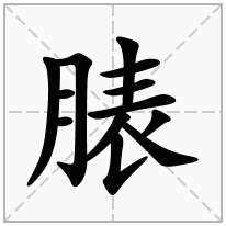 月字旁加一个表,胖月旁加一个表念什么字？《脿》怎么读？