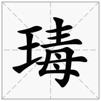 王字旁加一个毒,斜玉旁加一个毒念什么字？《瑇》怎么读？